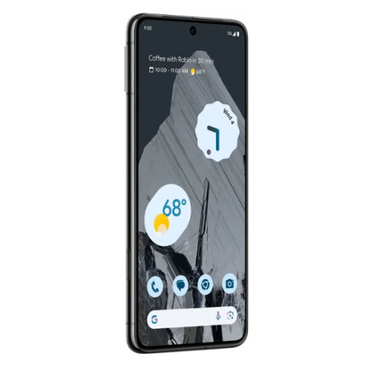 Google Pixel 8 Pro (Unlocked)