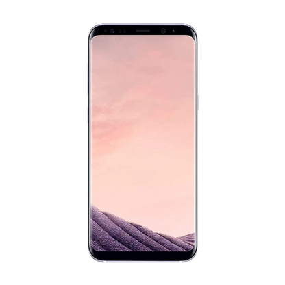 Samsung Galaxy S8 Plus (Unlocked)