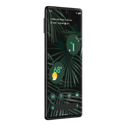 Google Pixel 6 Pro (Unlocked)