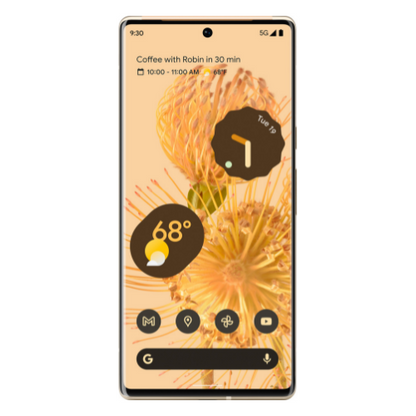 Google Pixel 6 Pro (Unlocked)