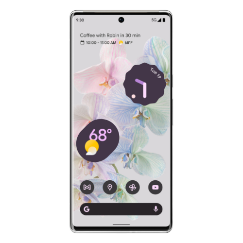 Google Pixel 6 Pro (Unlocked)